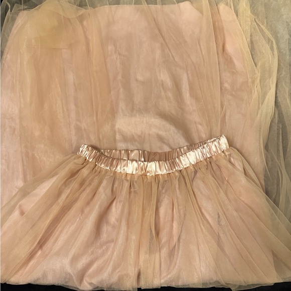 Elegant Peach Tulle Skirt - Picture 2 of 4